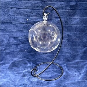 Hanging Glass Terrarium with Black Metal Stand